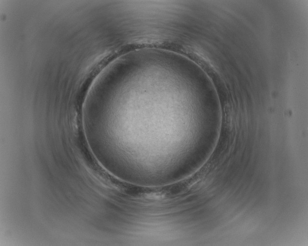 X0000076220692200610122050