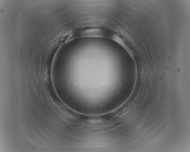 X0000076220693200610122050