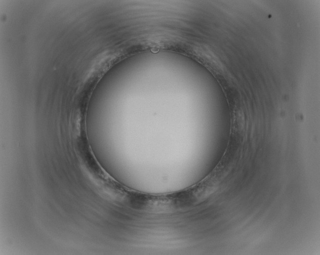 X0000076220694200610122050