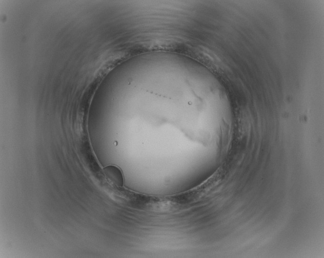 X0000076220695200610122050