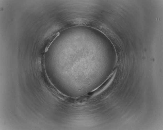 X0000076220696200610122050