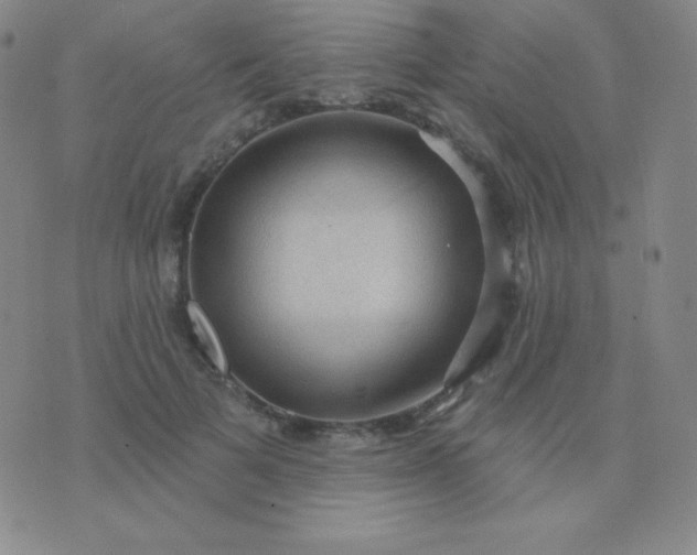 X0000076220697200610122050