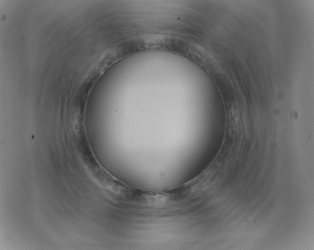 X0000076220698200610122050