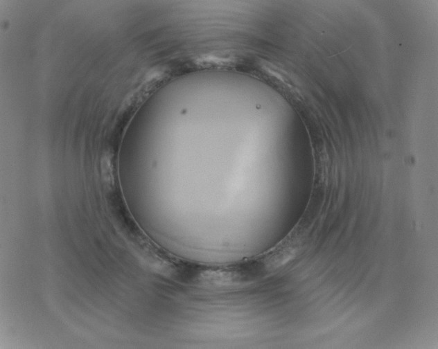 X0000076220699200610122050