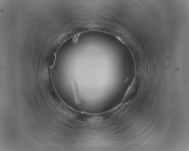 X0000076220700200610122050