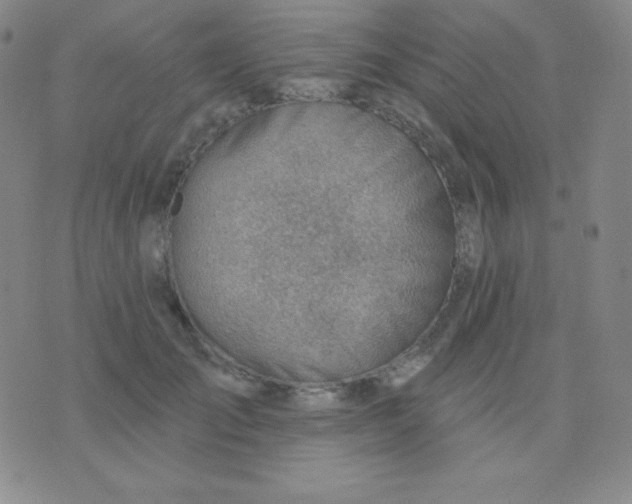 X0000076220701200610122050