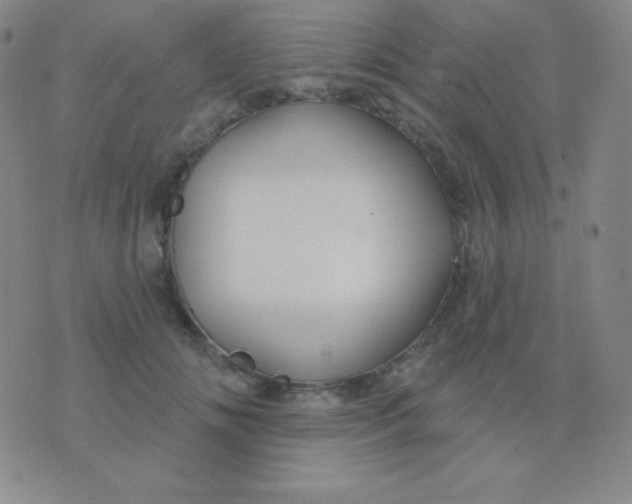 X0000076220702200610122050