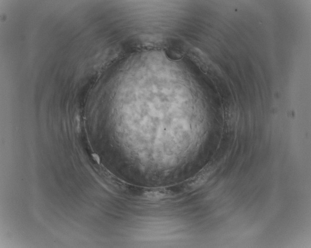 X0000076220703200610122050