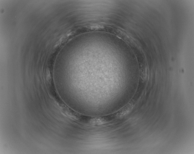 X0000076220704200610122050