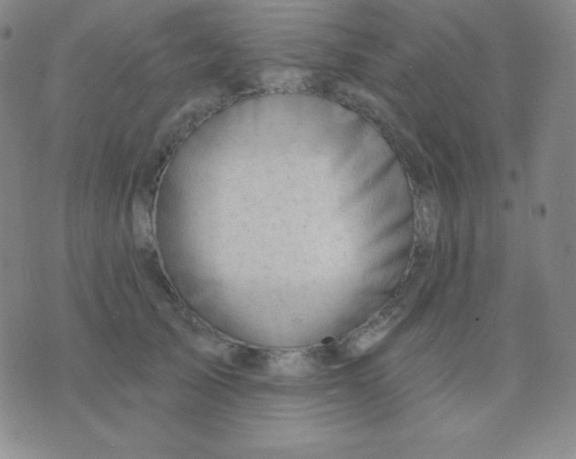 X0000076220705200610122050