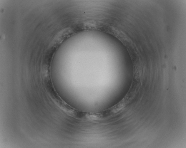 X0000076220706200610122050