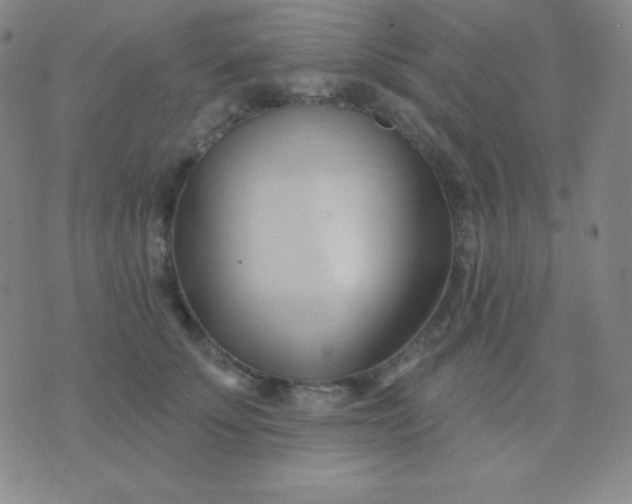 X0000076220707200610122050