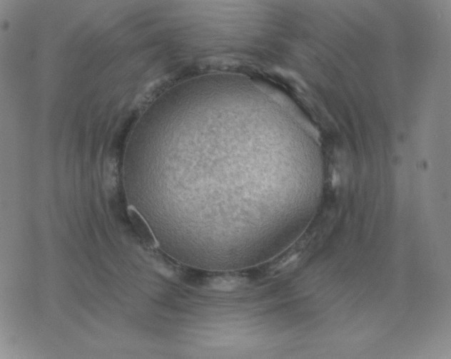 X0000076220708200610122050