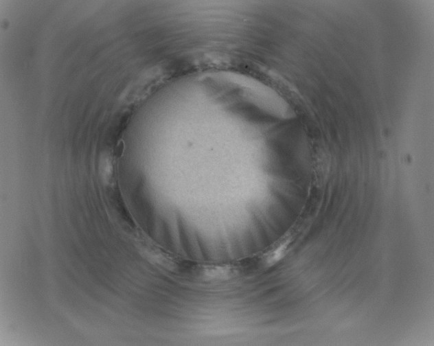 X0000076220709200610122050