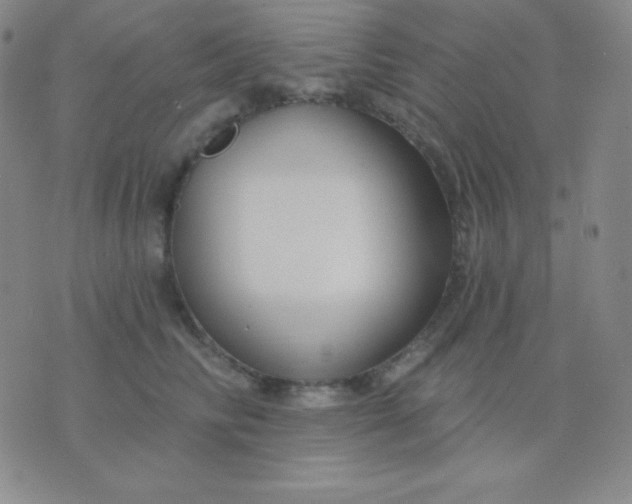 X0000076220710200610122050