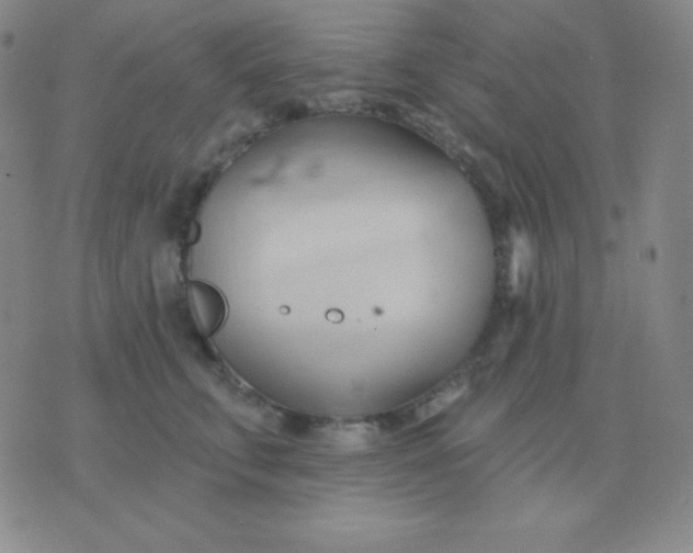 X0000076220711200610122050