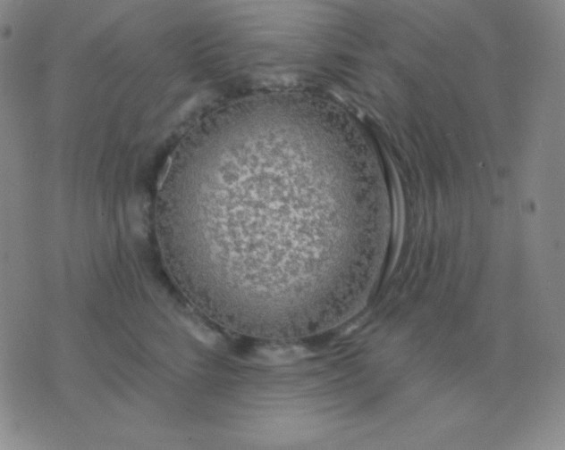 X0000076220712200610122050