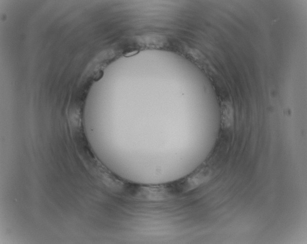 X0000076220713200610122050