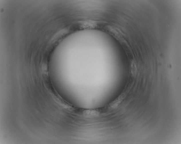 X0000076220714200610122050