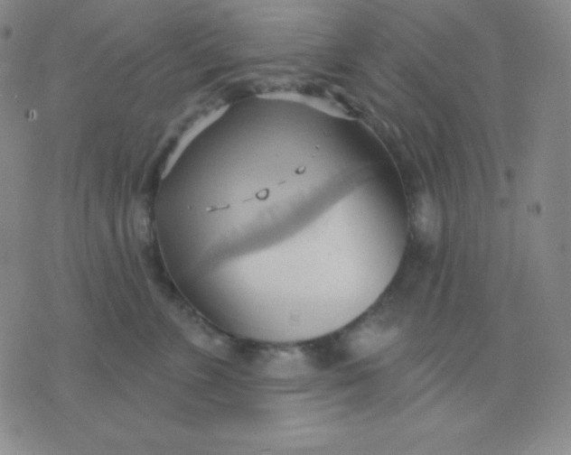 X0000076220715200610122050