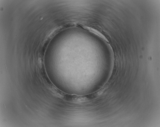 X0000076220716200610122050