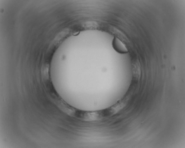 X0000076220717200610122050