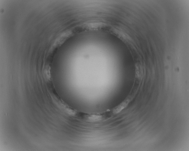 X0000076220718200610122050