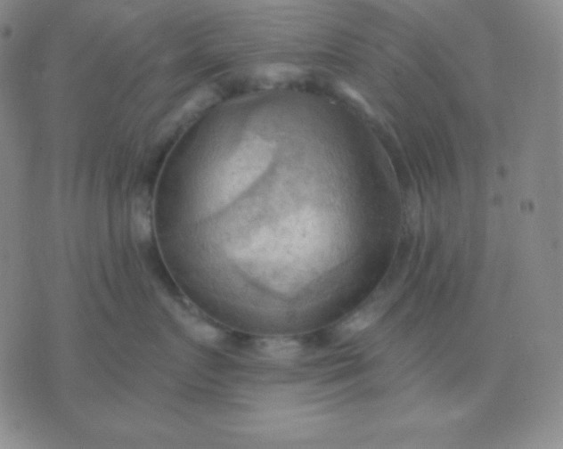 X0000076220719200610122050