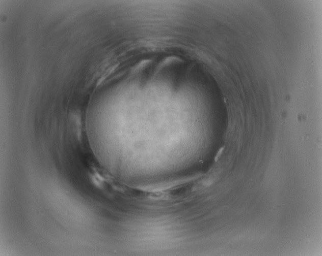 X0000076220720200610122050