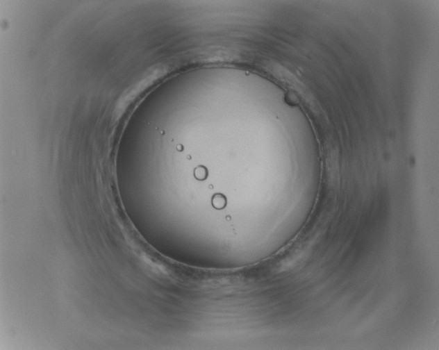 X0000076220721200610122049