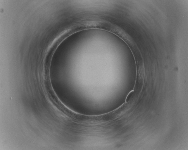 X0000076220722200610122049