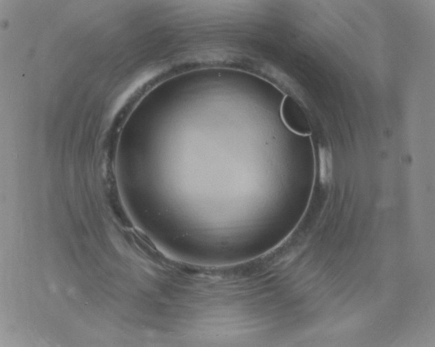 X0000076220723200610122049