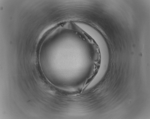 X0000076220724200610122049