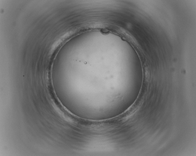 X0000076220725200610122049