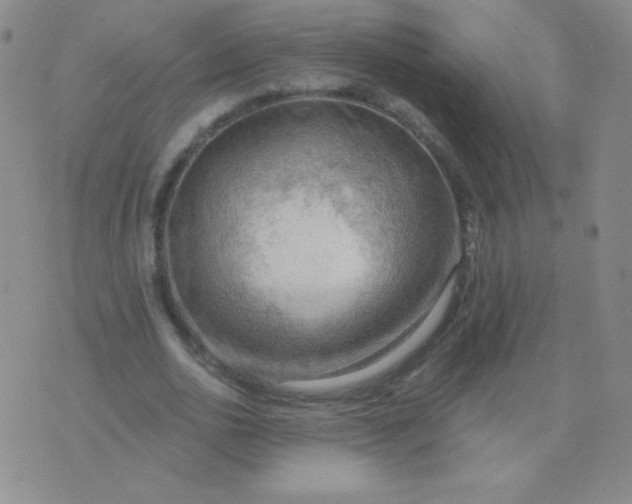 X0000076220726200610122049