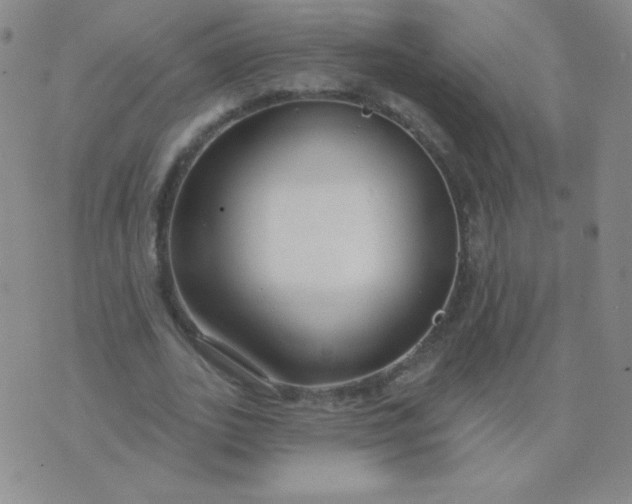 X0000076220727200610122049