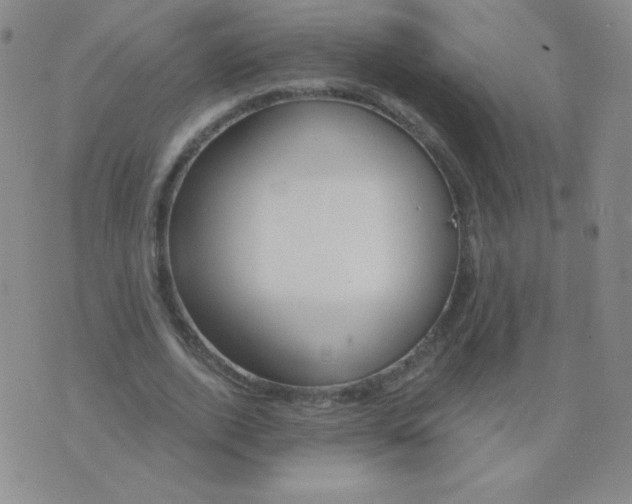 X0000076220728200610122049