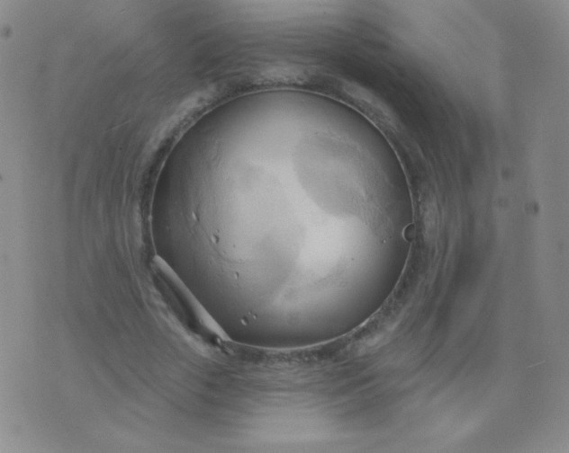 X0000076220729200610122049