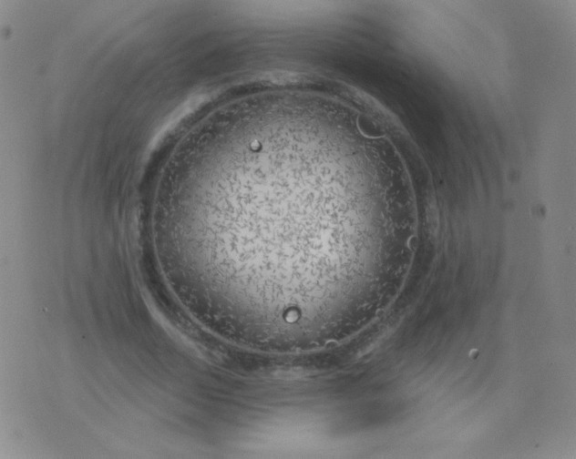 X0000076220730200610122049