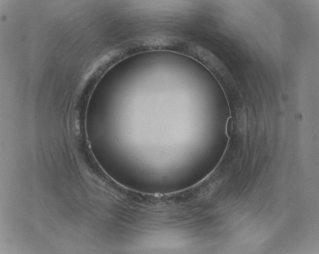 X0000076220731200610122049