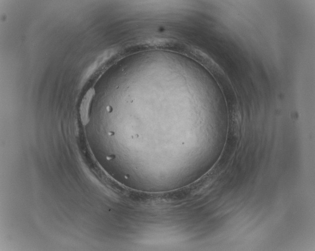 X0000076220734200610122049