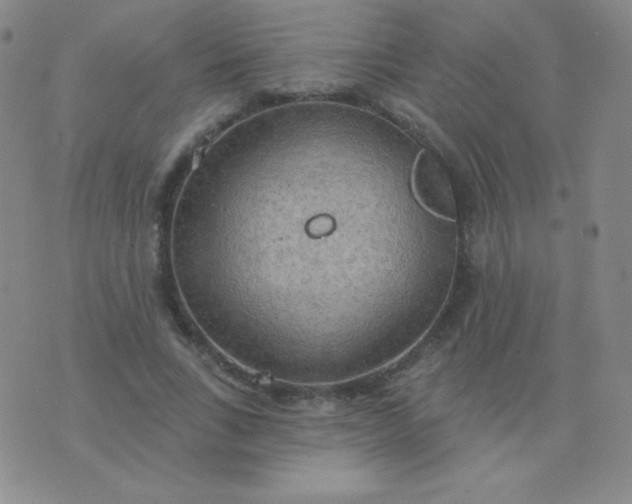 X0000076220735200610122049