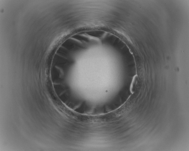 X0000076220736200610122049