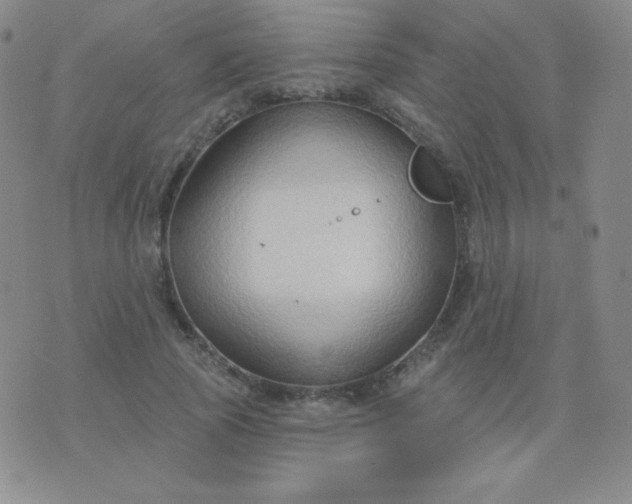 X0000076220737200610122049