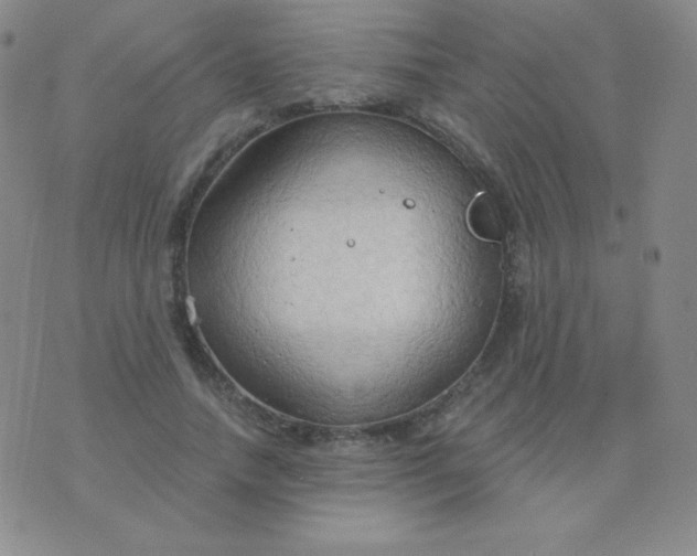 X0000076220738200610122049