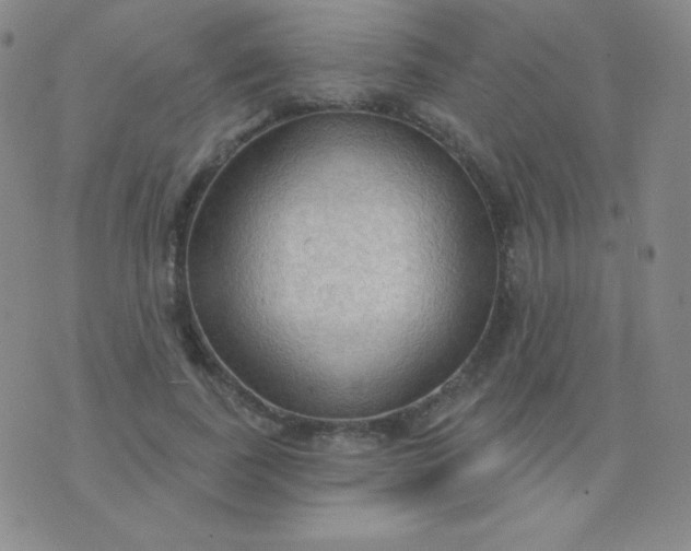 X0000076220739200610122049