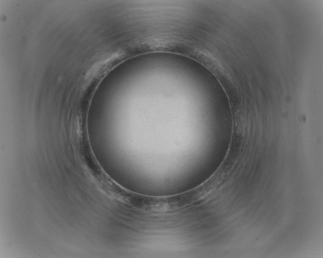 X0000076220740200610122049