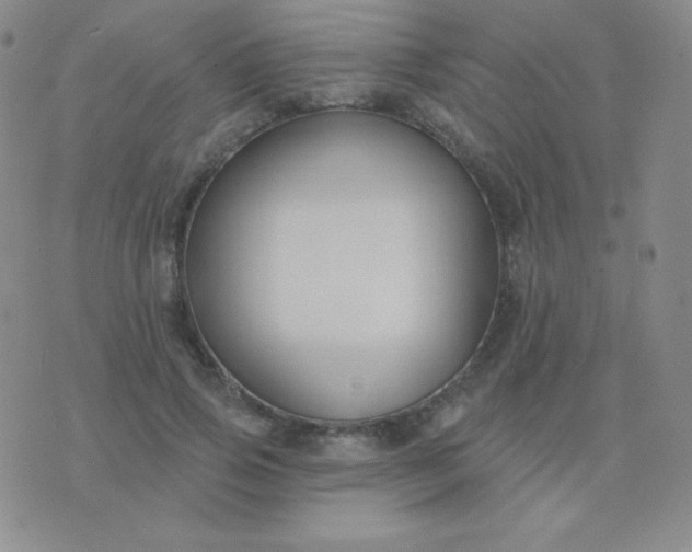 X0000076220741200610122049