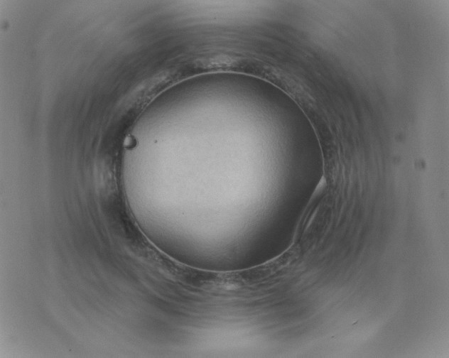 X0000076220743200610122049