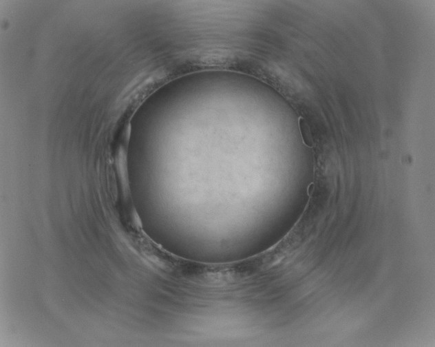 X0000076220744200610122049